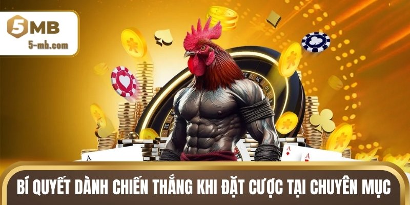 Bí quyết dành chiến thắng khi đặt cược tại chuyên mục