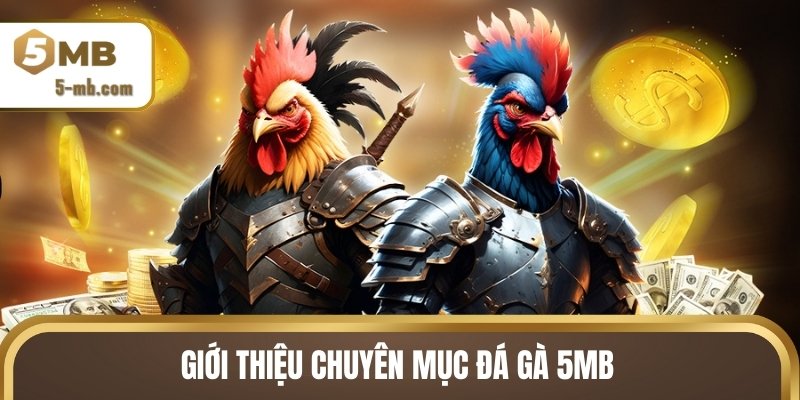 Giới thiệu chuyên mục đá gà 5MB