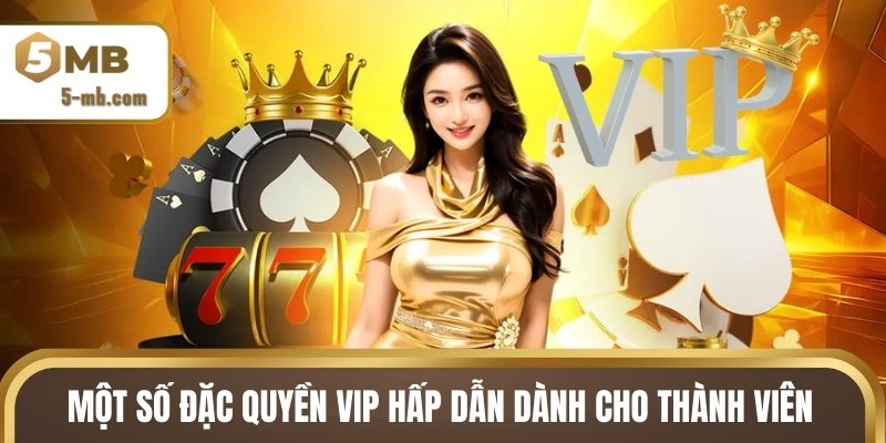 Một số đặc quyền VIP hấp dẫn dành cho thành viên nền tảng
